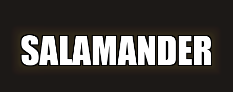 Salamander Chaussures